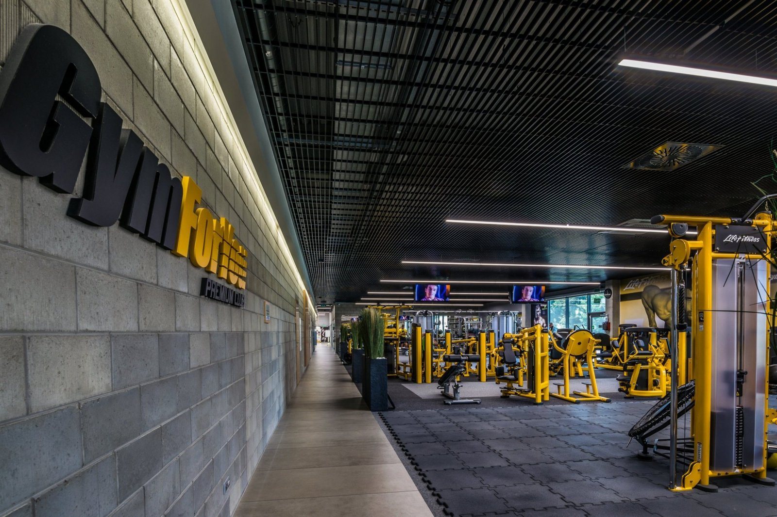 GymForYou — fitness
